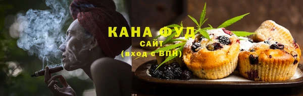 мет Новозыбков
