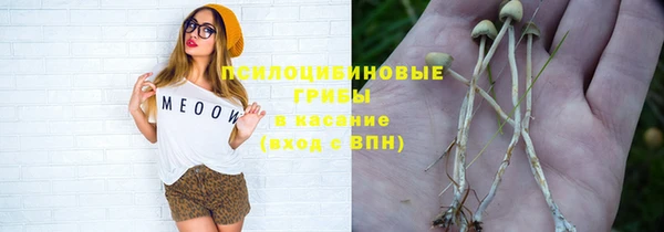 прущие крисы Алексин