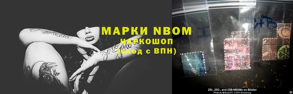сатива Алексеевка