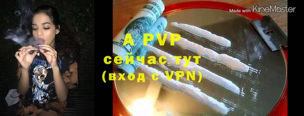 эйфоретик Новокубанск